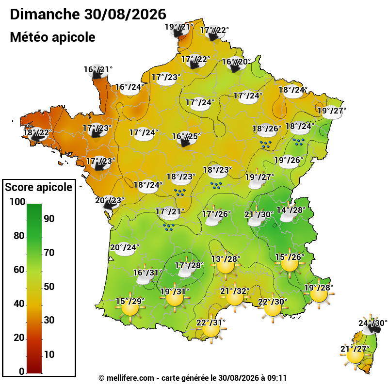 Carte des scores abeilles 30/08