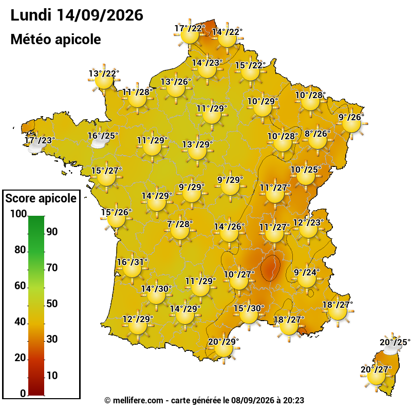 Carte des scores abeilles 14/09