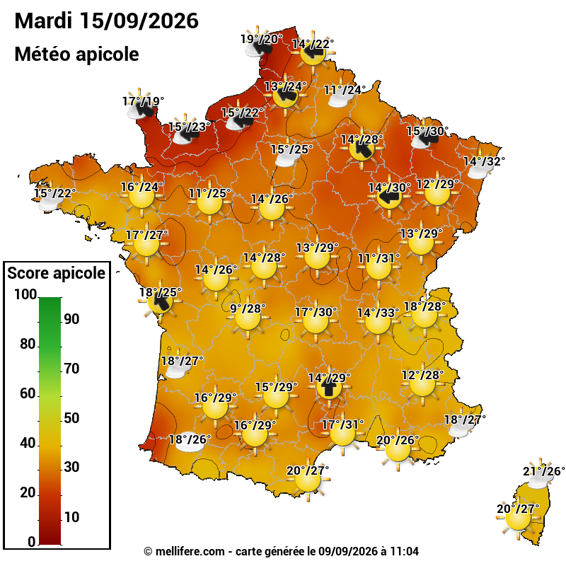 Carte des scores abeilles 15/09