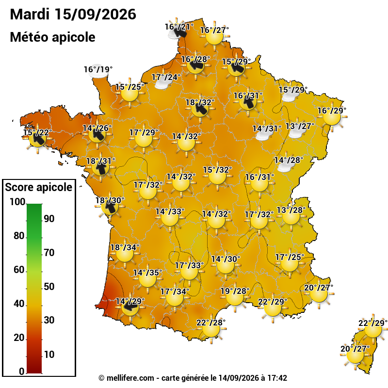 Carte des scores abeilles 15/09