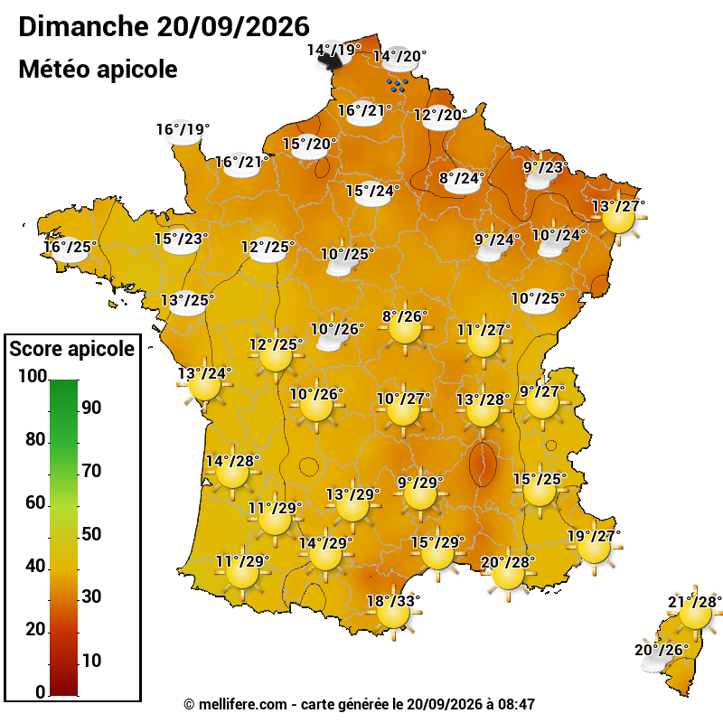 Carte des scores abeilles 20/09