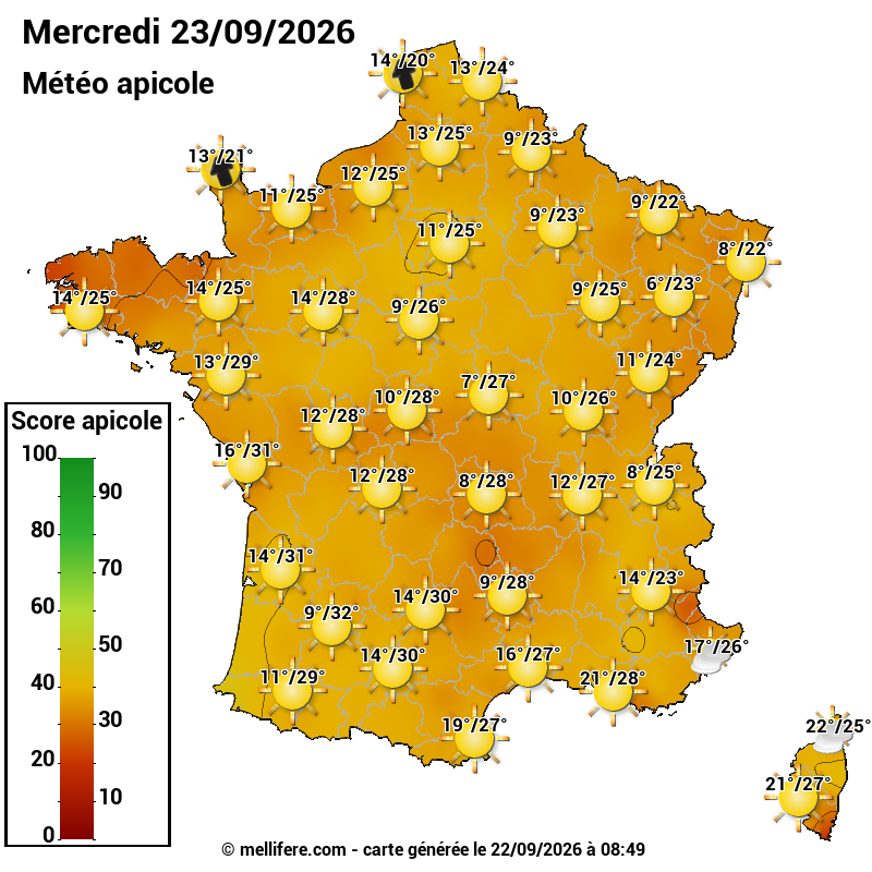 Carte des scores abeilles 23/09
