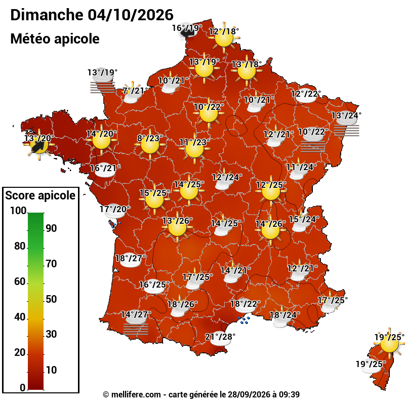 Carte des scores abeilles 04/10
