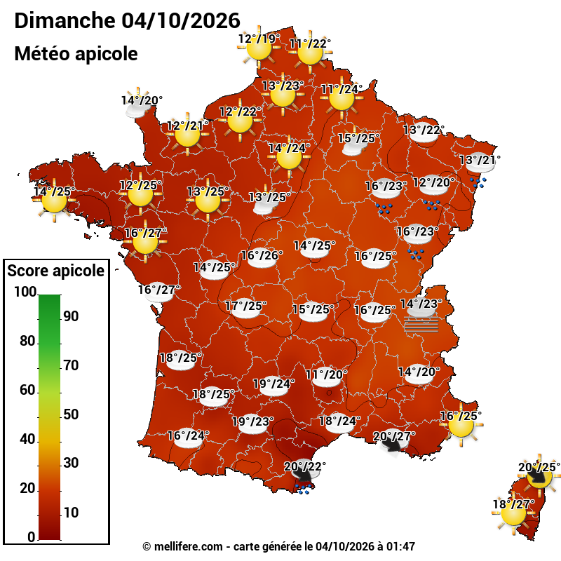 Carte des scores abeilles 04/10
