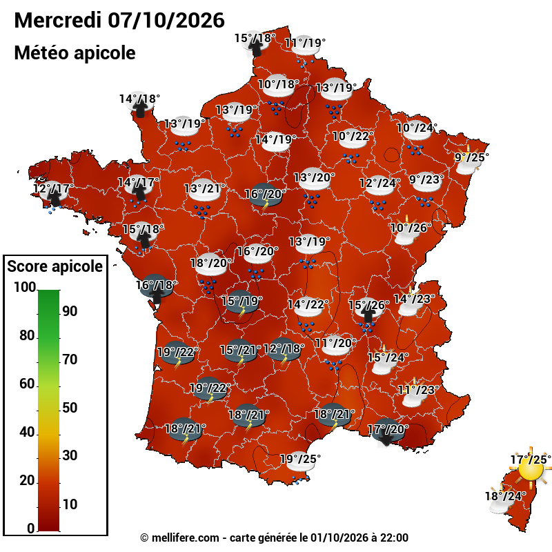 Carte des scores abeilles 07/10