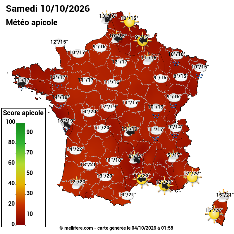 Carte des scores abeilles 10/10
