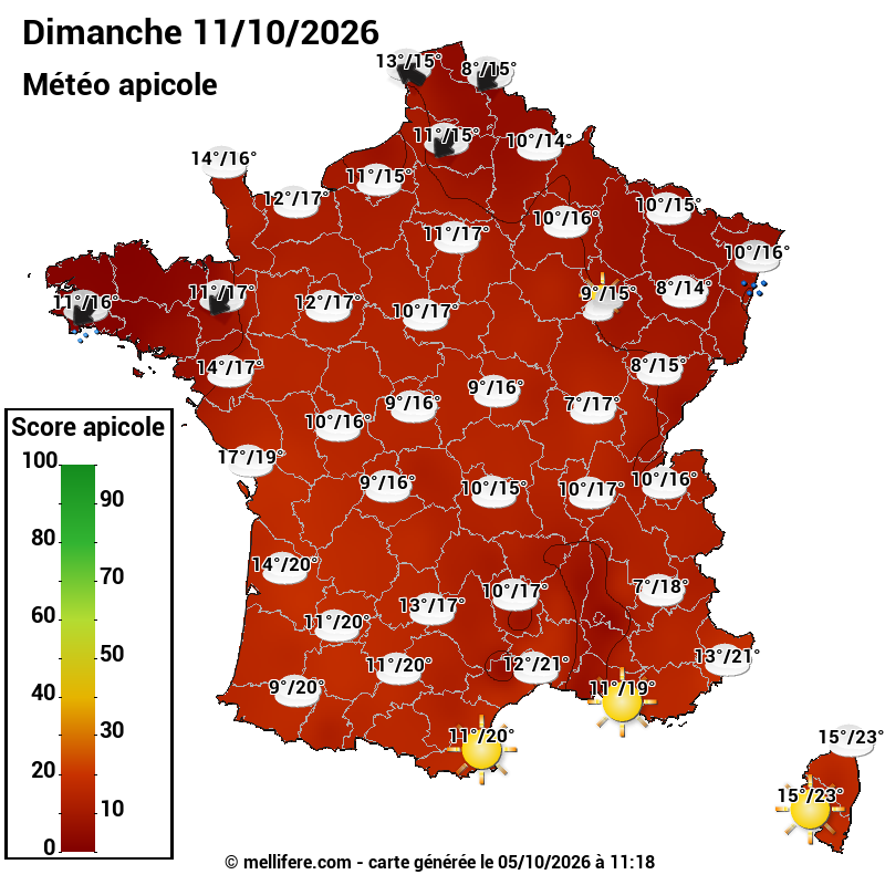 Carte des scores abeilles 11/10