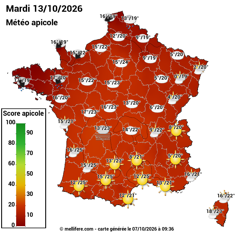 Carte des scores abeilles 13/10