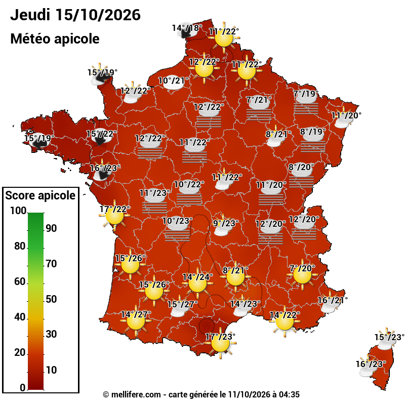 Carte des scores abeilles 15/10