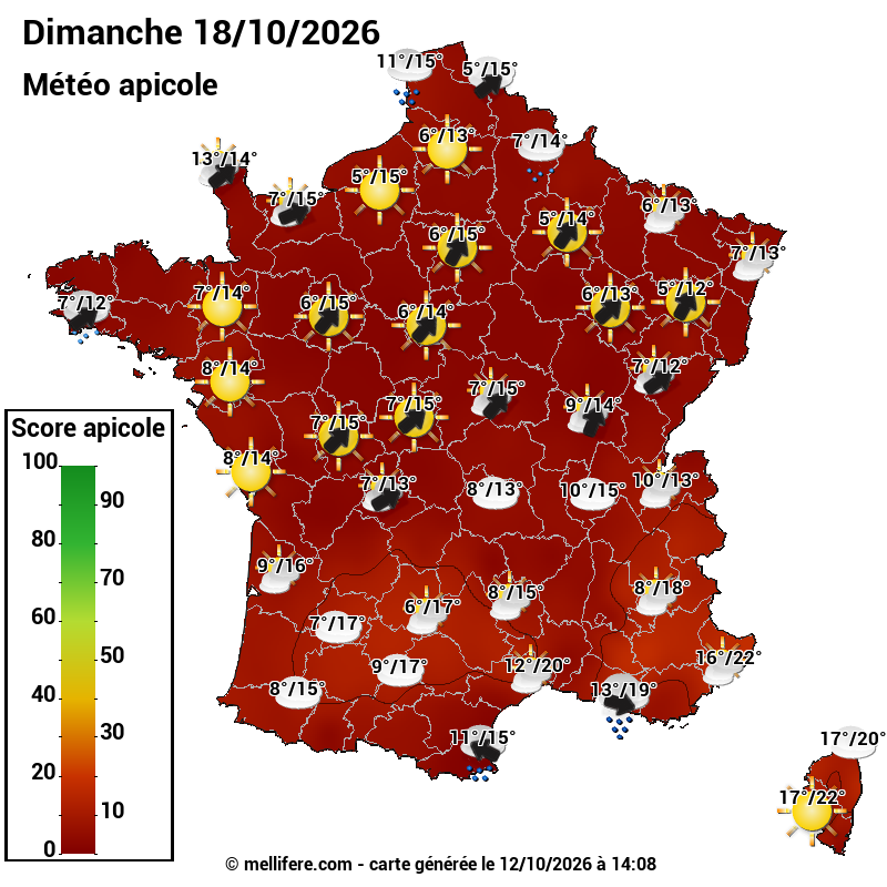 Carte des scores abeilles 18/10