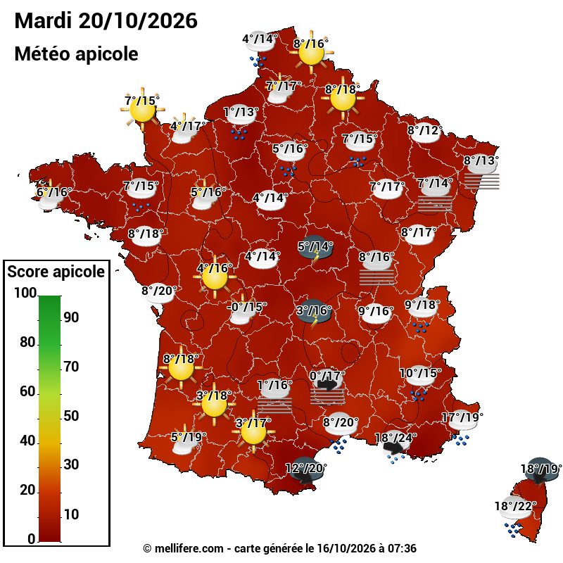 Carte des scores abeilles 20/10