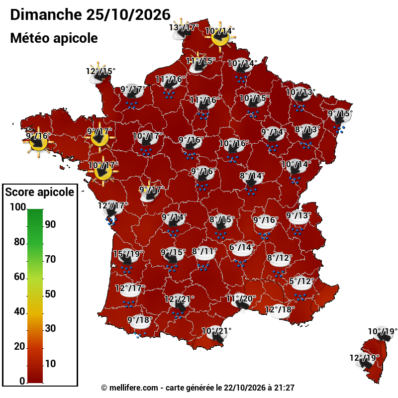 Carte des scores abeilles 25/10