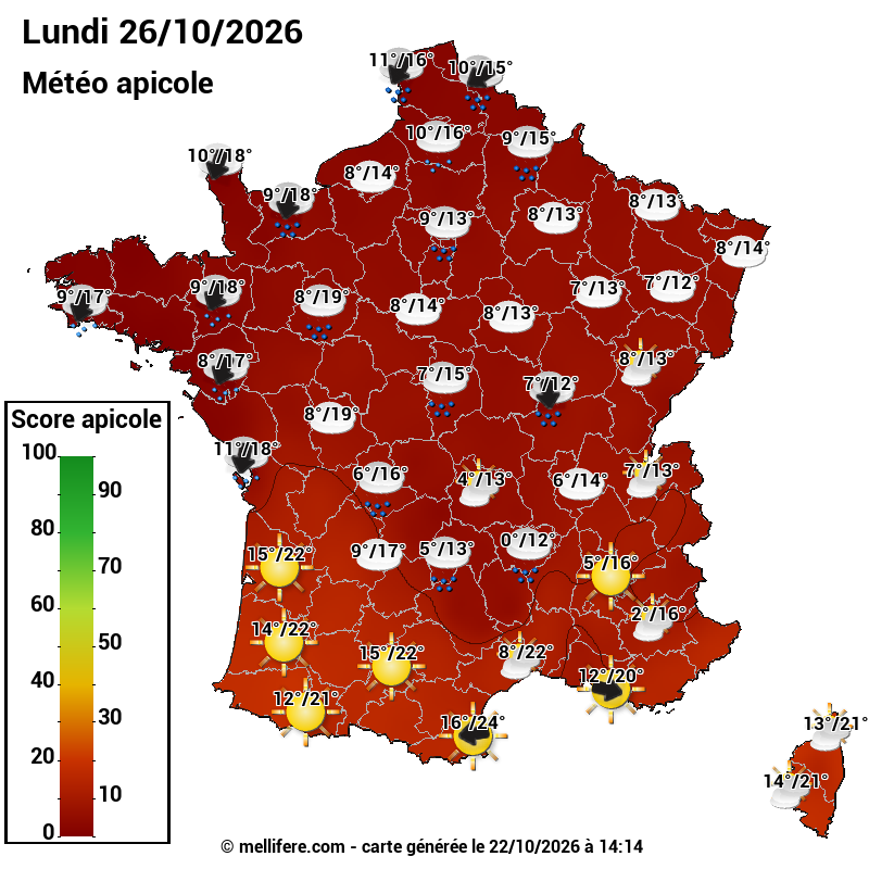 Carte des scores abeilles 26/10