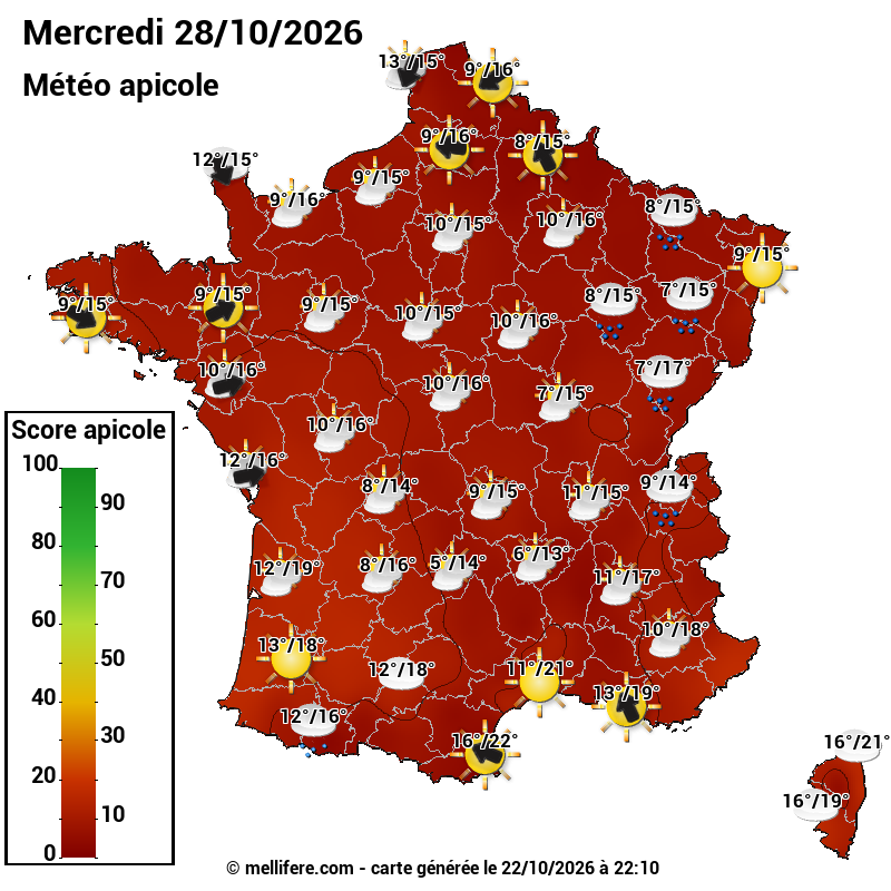 Carte des scores abeilles 28/10