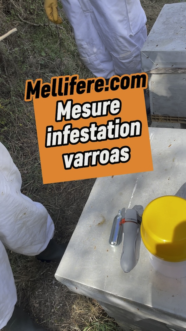 Mesurer le taux d'infestation aux varroas d'une colonie avec easyCheck CO2