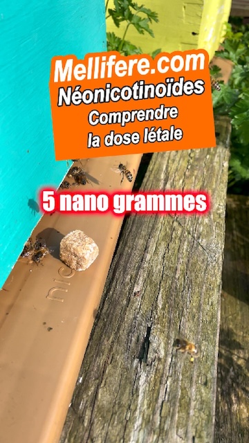 La vidéo La dose létale des néonicotinoides pour les pollinisateurs de Mellifere.com
