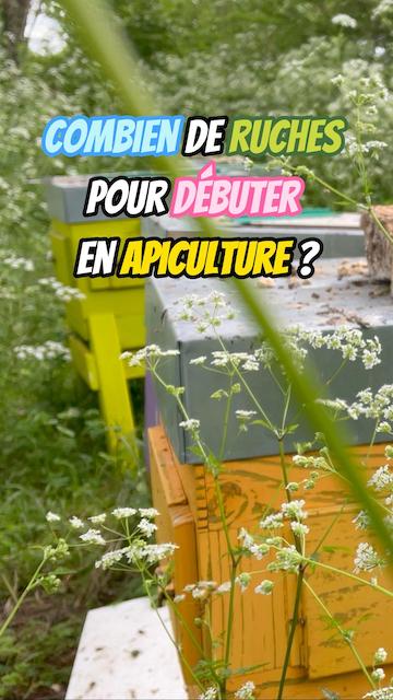 Combien de ruches pour débuter en apiculture de loisir ?