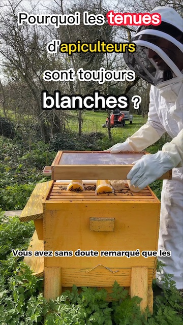 La vidéo Pourquoi les tenues d'apiculteur sont toujours blanches ? de Mellifere.com